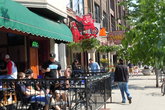 Lakeview-wrigleyville_s165x110