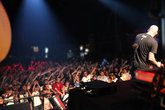 Infected Mushroom