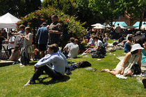 Tiburon-wine-festival_s210x140
