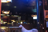 White-horse-tavern_s165x110