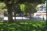 Washington-square_s165x110