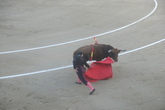 Bullfights-at-las-ventas_s165x110