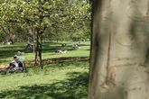 Hyde-park_s165x110