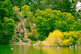 Golden-gate-park_s165x110