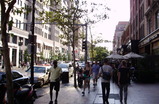Back-bay_s159