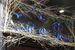 Café de Paris - Club | Restaurant in London.