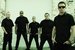 The Aggrolites