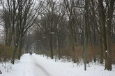 Tiergarten_s165x110