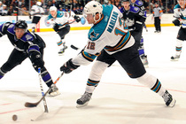 San-jose-sharks-hockey_s210x140