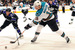 San Jose Sharks