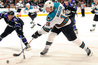 San Jose Sharks