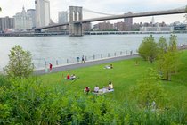 Brooklyn Bridge Park - Live Music Venue | Outdoor Activity | Park in New York.