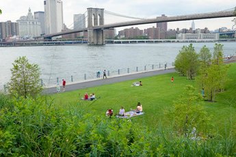 Brooklyn Bridge Park - Live Music Venue | Outdoor Activity | Park in New York.