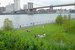 Brooklyn Bridge Park - Live Music Venue | Outdoor Activity | Park in New York.