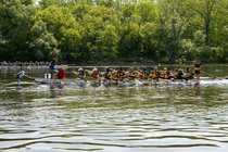 Cambridge Riverfest - Festival | Outdoor Event in Boston.