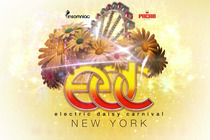 Electric Daisy Carnival New York 2013 - Arts Festival | Music Festival | DJ Event | Concert | Party in New York.