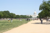 The National Mall - Culture | Landmark | Outdoor Activity | Park in Washington, DC.