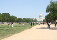 The National Mall - Culture | Landmark | Outdoor Activity | Park in Washington, DC.
