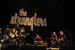 The Stranglers