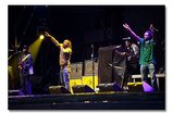 The-wailers_s159