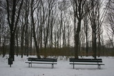 Tiergarten_s165x110