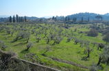 Boboli-gardens_s159