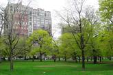 Lincoln-park_s165x110