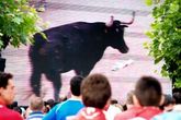 Bullfights_s165x110