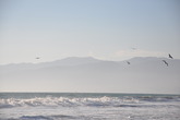 Venice-beach_s165x110