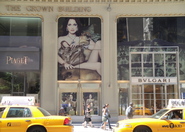 Fifth Avenue - Outdoor Activity | Shopping Area in New York.