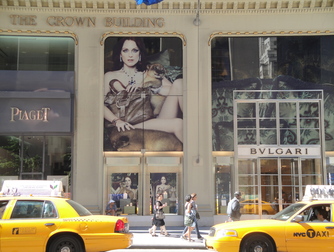 Fifth Avenue - Outdoor Activity | Shopping Area in New York.