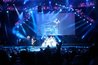From Rock Legends to Pop Stars: November Concerts Part 2
