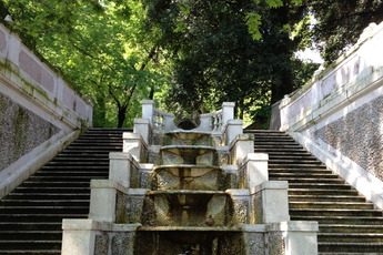 L'Orto Botanico (Botanical Gardens) - Museum | Park in Rome.