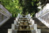 L'Orto Botanico (Botanical Gardens)