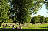 Englischer-garten_s159