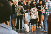 Hollywood-boulevard_s165x110