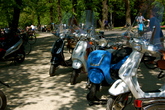 Vondelpark_s165x110
