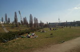 Mauerpark-flea-market_s159