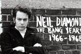 Neil-diamond_s165x110