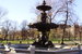 Boston Common - Landmark | Outdoor Activity | Park in Boston.