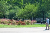 Battery-park_s165x110
