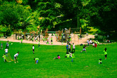 Golden-gate-park_s165x110