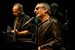 Steely Dan