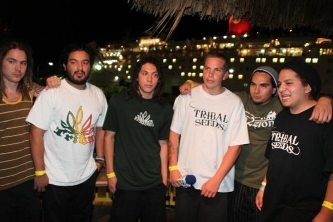 Photo of Tribal Seeds