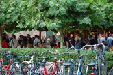 Brouwerij-t-ij_s165x110