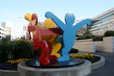 Soma_s165x110