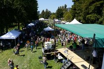 California-rejuvenation-festival_s210x140