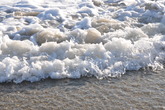 Venice-beach_s165x110