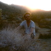 Father John Misty 