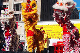 Kick Off the Year of the Snake in Style!